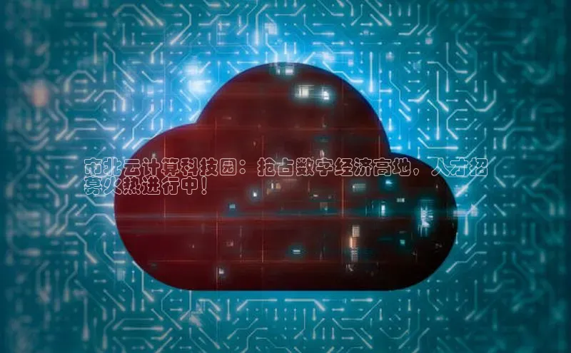 意昂体育4登录百度信誉市北云计算科技园：抢占数字经济高地，人才招
募火热进行中！