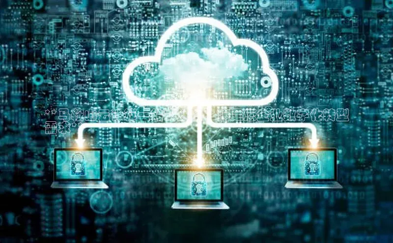 意昂458同城**马鞍山云计算一站式选择：满足您企业数字化转型
需求**