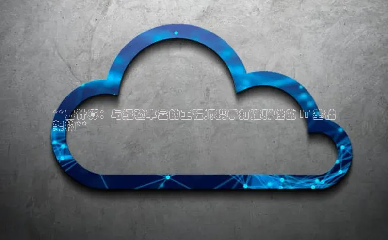 意昂体育4小米**云计算：与经验丰富的工程师携手打造弹性的 IT 基础
架构**