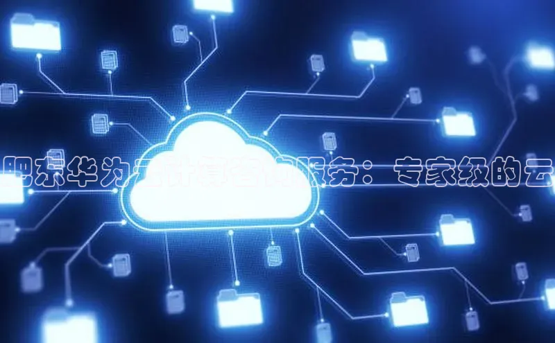 EON4代理轻美电器肥东华为云计算咨询服务：专家级的云