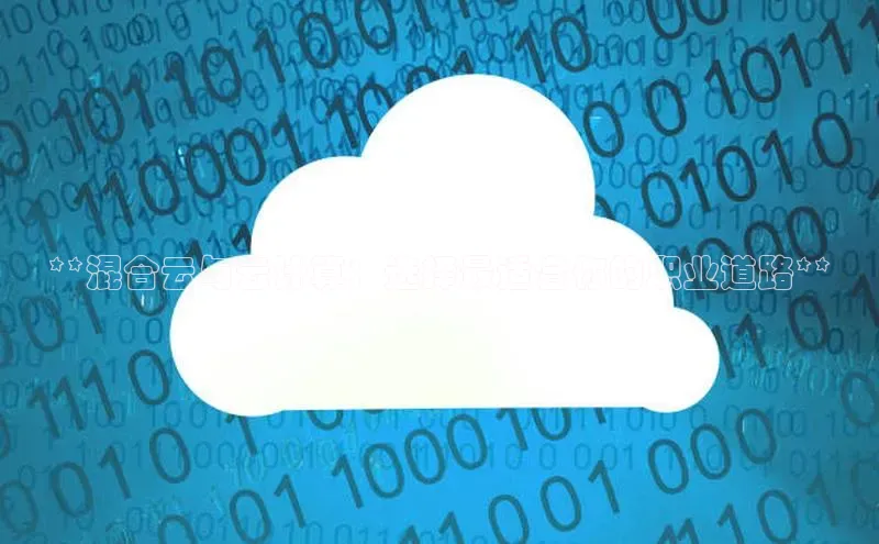 EON4雷柏科技**混合云与云计算：选择最适合你的职业道路**