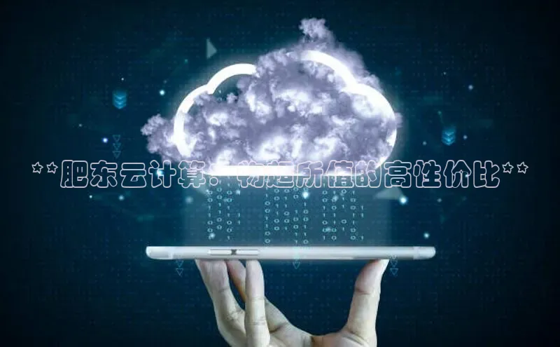 EON4代理百度手机卫士**肥东云计算：物超所值的高性价比**