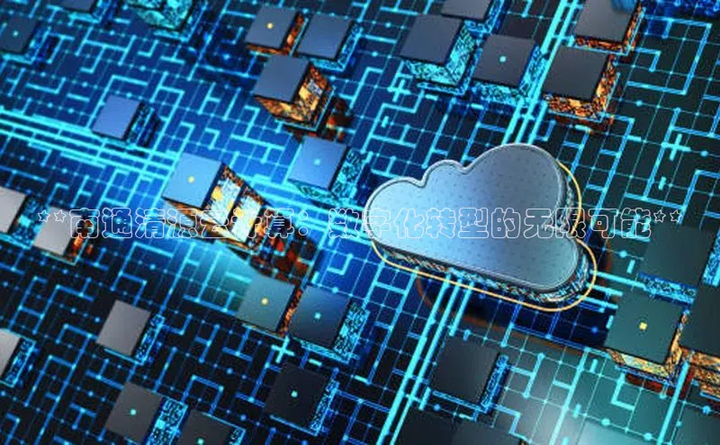 意昂4代理百度百聘**南通清源云计算：数字化转型的无限可能**