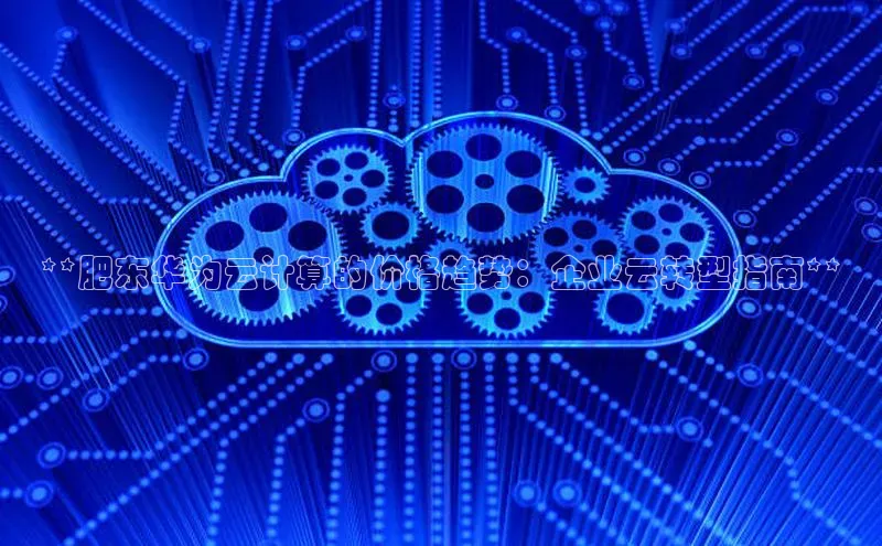 EON4招商视觉中国**肥东华为云计算的价格趋势：企业云转型指南**
