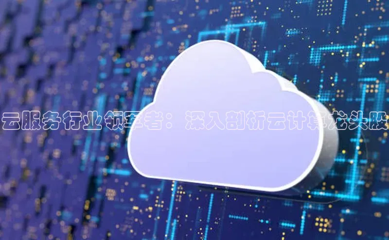 EON体育4登录金山办公云服务行业领军者：深入剖析云计算龙头股