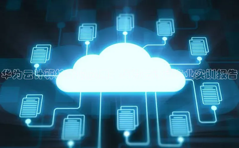 意昂4京东华为云计算技术的应用：华为云计算专业实训报告