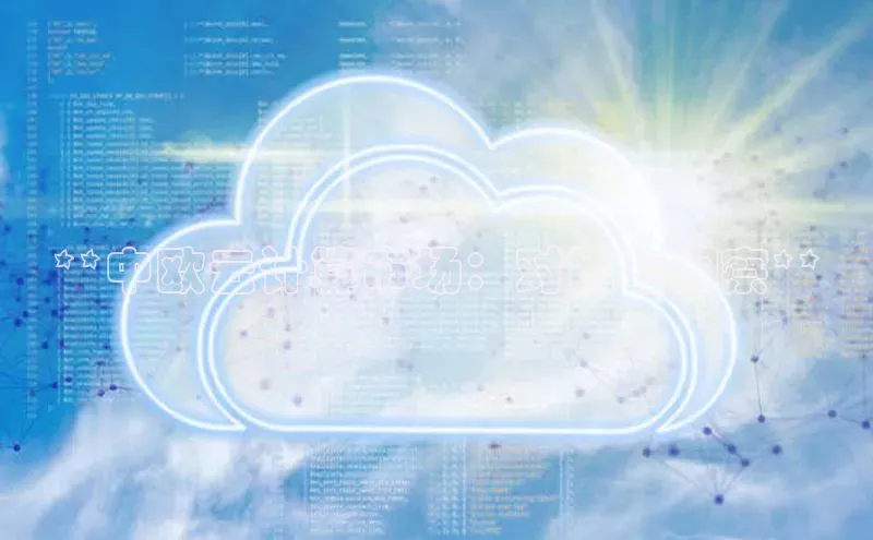 EON4代理轻美电器**中欧云计算市场：对比与洞察**