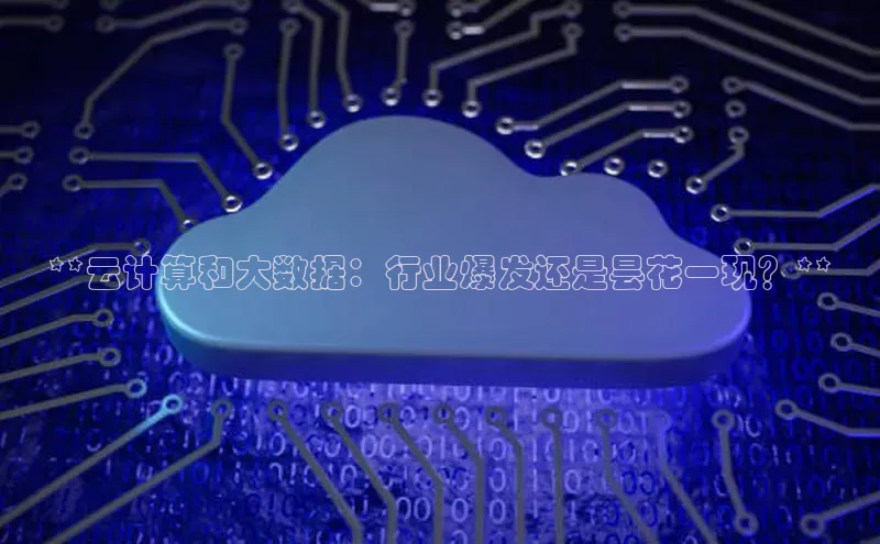 意昂体育4代理观星盘**云计算和大数据：行业爆发还是昙花一现？**