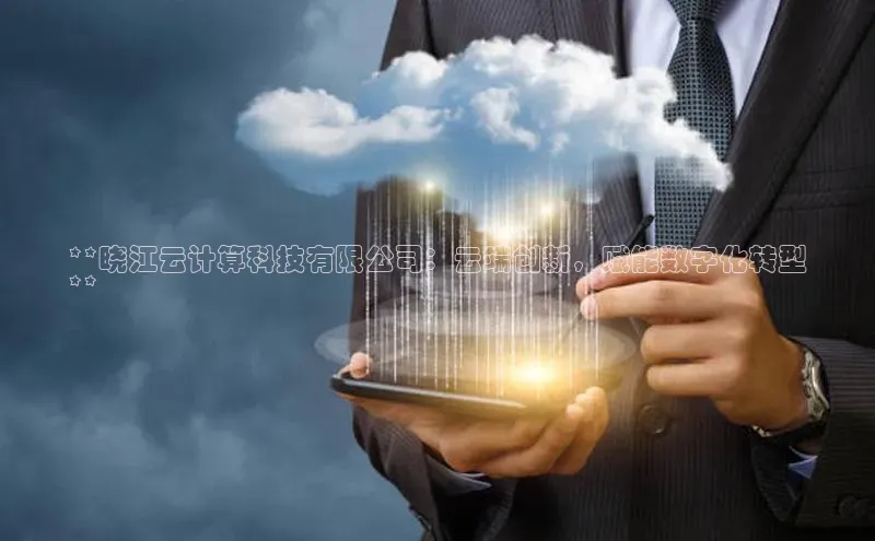 意昂体育4小米**晓江云计算科技有限公司：云端创新，赋能数字化转型
**