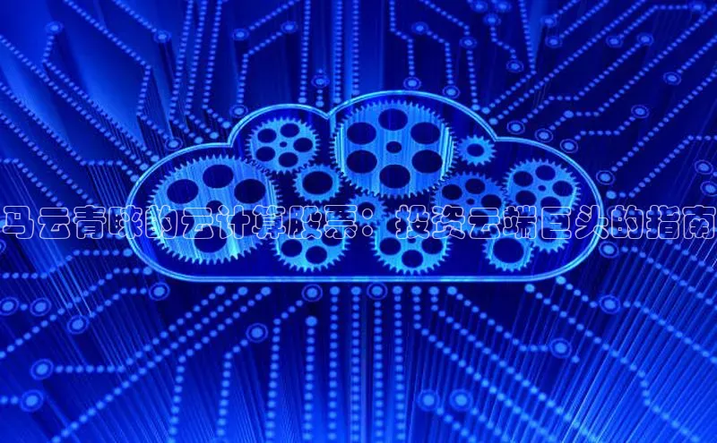 意昂4招商神思电子马云青睐的云计算股票：投资云端巨头的指南