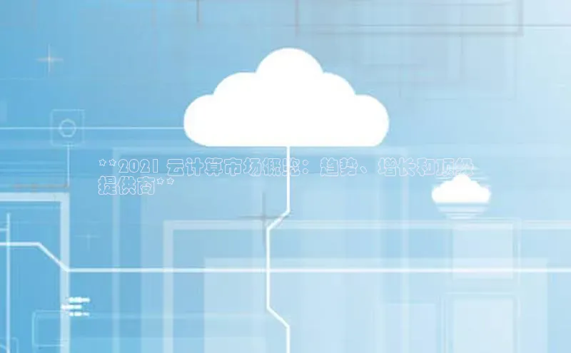 EON4官网美团**2021 云计算市场概览：趋势、增长和顶级
提供商**