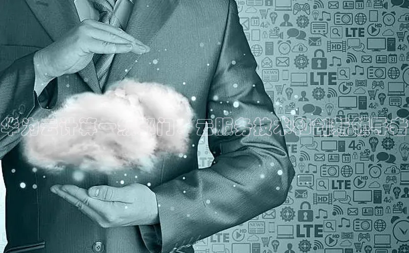 意昂4代理普信公司华为云计算一级部门：云服务技术和创新领导者