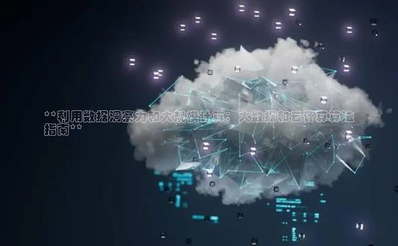 意昂体育4阿里尔公司**利用数据洞察力和大规模计算：大数据和云计算算法
指南**