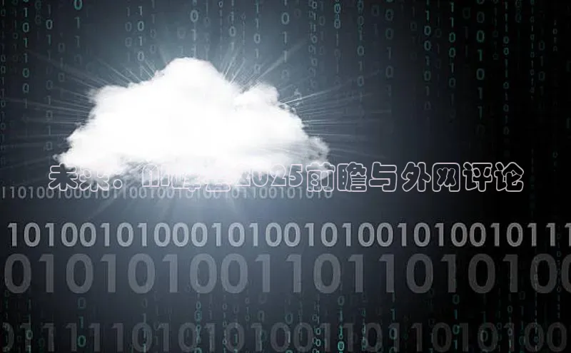 未来：AI峰会2025前瞻与外网评论